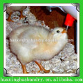 Poultry farming equipment chicken nipple drinker